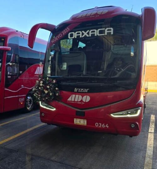 ado bus 500x540