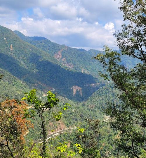 sierra sur view 500x540