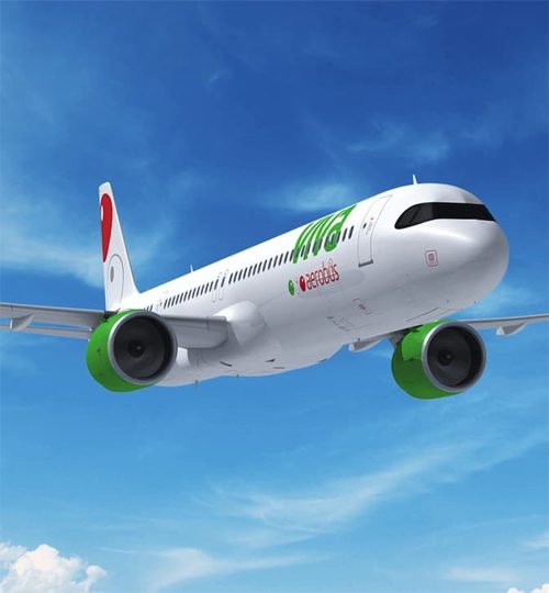 viva 500x540